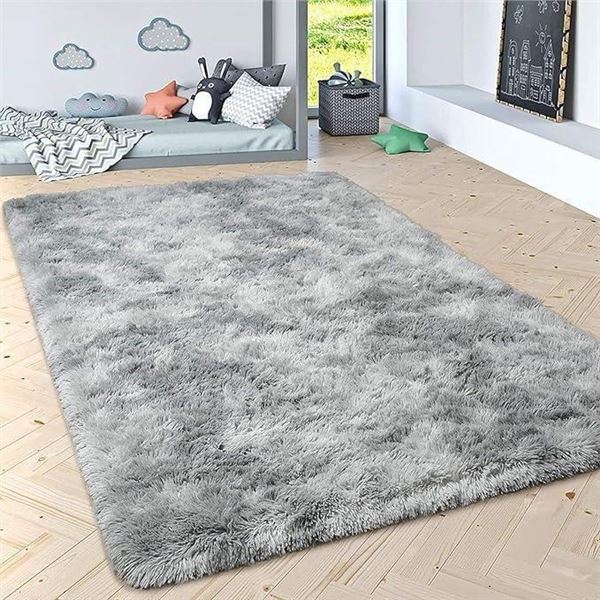 Shag Area Rug Modern Ultra Soft Fuzzy Throw Carpet 4' x 6' Dark Grey