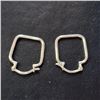 Image 1 : Silver Earrings (~Size 0) (~length 0 inches), Suggested Retail Value $50