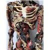 Image 2 : Large Skeleton Prop