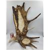 Image 1 : Native Hand-carved Moose Antler
