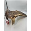Image 4 : Native Hand-carved Moose Antler