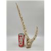 Image 1 : Hand-carved Aquatic Antler Sculpture