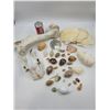 Image 1 : Bone and Shell Lot