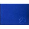 Image 2 : Sky Swirl Braniff Airlines by Calder, Alexander