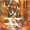 Image 2 : Show Jumping by Spahn, Victor