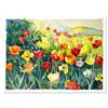 Image 1 : Tulips by Fox, Perla