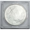 Image 3 : 2007 American Silver Eagle
