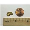 Image 5 : 2.3 Grams Gold Nugget