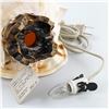 Image 12 : HORNED HELMET SEASHELL LAMP ALA MAKANA HAWAII