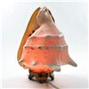 Image 14 : HORNED HELMET SEASHELL LAMP ALA MAKANA HAWAII