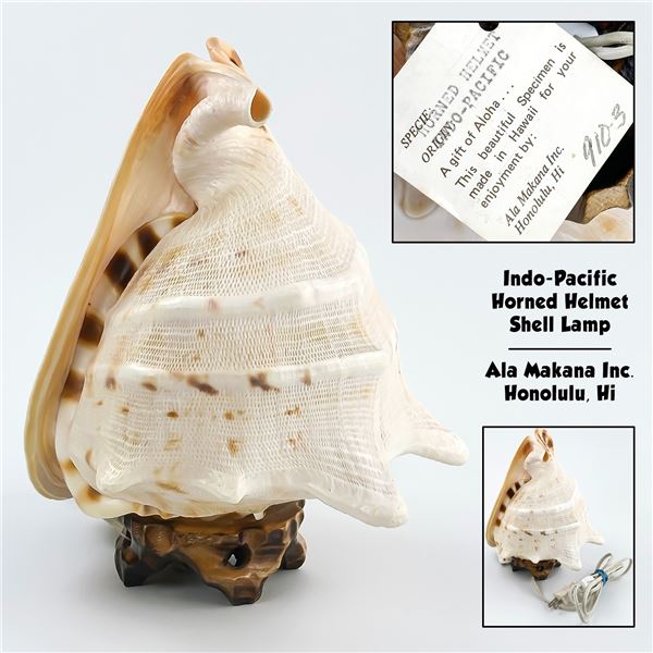 HORNED HELMET SEASHELL LAMP ALA MAKANA HAWAII