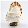 Image 3 : HORNED HELMET SEASHELL LAMP ALA MAKANA HAWAII