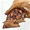 Image 2 : TREE SPIRIT KNOT HEAD WOOD CARVING SCULPTURE