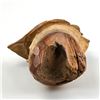 Image 8 : TREE SPIRIT KNOT HEAD WOOD CARVING SCULPTURE
