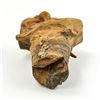 Image 8 : TREE SPIRIT KNOT HEAD WOOD CARVING SCULPTURE