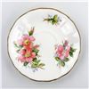 Image 8 : ROYAL ADDERLEY TEA CUP & SAUCER SET - PRAIRIE ROSE