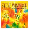 Image 1 : STEVE WINWOOD - TALKING BACK TO THE NIGHT - VINYL