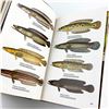 Image 10 : EXOTIC TROPICAL FISHES EXPANDED EDITION HC BOOK
