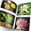 Image 7 : EXOTIC TROPICAL FISHES EXPANDED EDITION HC BOOK
