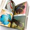 Image 9 : EXOTIC TROPICAL FISHES EXPANDED EDITION HC BOOK