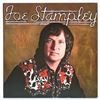 Image 1 : JOE STAMPLEY - TEN SONGS ABOUT HER - VINYL LP