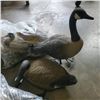 Image 2 : LARGE LOT OF DUCK DECOYS