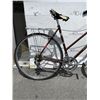 Image 2 : BROWN RALEIGH BIKE