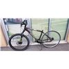 Image 1 : COPPER IRON HORSE BIKE