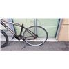 Image 2 : COPPER IRON HORSE BIKE