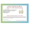 Image 3 : Natural 0.25 White Diamond Hoop earrings 14k Yellow Gold Plated 1in 925 Sterling Silver - Appraised 