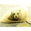 Image 2 : Whales tooth scrimshawed with bear 2" signed by T. Swan (33)