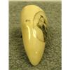 Image 5 : Whales tooth scrimshawed with bear 2" signed by T. Swan (33)