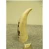 Image 3 : Whale tooth scrimshawed with a ship 4.25" (33)