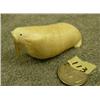 Image 1 : Old ivory carving of walrus with tusks of walrus whiskers 1.25" tall retail value $295.00 (33)