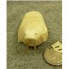 Image 2 : Old ivory carving of walrus with tusks of walrus whiskers 1.25" tall retail value $295.00 (33)