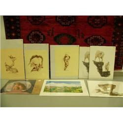 Lot of 15 shrink wrapped prints: Steve Hillyer "The Mt. McKinley Route", Charlen Jeffery of Polar be