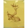 Image 3 : Lot of 15 shrink wrapped prints: Steve Hillyer "The Mt. McKinley Route", Charlen Jeffery of Polar be