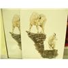 Image 8 : Lot of 15 shrink wrapped prints: Steve Hillyer "The Mt. McKinley Route", Charlen Jeffery of Polar be