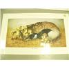 Image 2 : Lot of 12 shrink wrapped prints: double-matted print of a red fox by B. L. Marris; "New Arrivals" pr