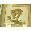 Image 7 : Lot of 12 shrink wrapped prints: double-matted print of a red fox by B. L. Marris; "New Arrivals" pr