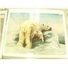 Image 8 : Lot of 12 shrink wrapped prints: double-matted print of a red fox by B. L. Marris; "New Arrivals" pr