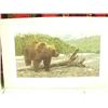Image 9 : Lot of 12 shrink wrapped prints: double-matted print of a red fox by B. L. Marris; "New Arrivals" pr