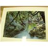 Image 9 : Lot of 13 shrink-wrapped prints: 2 Scott McDaniel - Mt. McKinley scene 22"x16", M Hoepfner July 1974