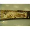 Image 4 : Relief carved whale bone with 2 whales 57.5" long (33)
