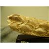 Image 2 : Carvings of school of fish on fossilized ivory tusk mounted on wood 50.5" long retail price $2200.00
