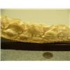 Image 3 : Carvings of school of fish on fossilized ivory tusk mounted on wood 50.5" long retail price $2200.00