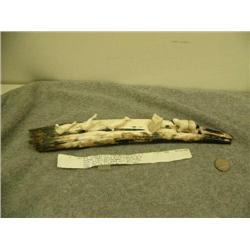 Old Ivory Walrus tusk mounted with 3 carved ivory seals being stalked by a crawling hunter, Savoonga