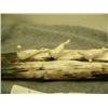 Image 3 : Old Ivory Walrus tusk mounted with 3 carved ivory seals being stalked by a crawling hunter, Savoonga