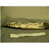 Image 6 : Old Ivory Walrus tusk mounted with 3 carved ivory seals being stalked by a crawling hunter, Savoonga