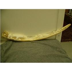 Relief carving of walrus tusk with polar bear and cub with inset baleen eyes and noses, 4 walruses w